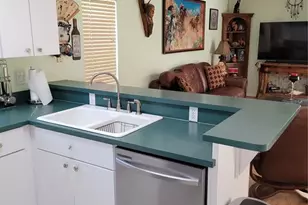 775 Wildflower Dr, Palm Harbor, FL 34683 - Photo 43