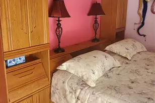 775 Wildflower Dr, Palm Harbor, FL 34683 - Photo 19