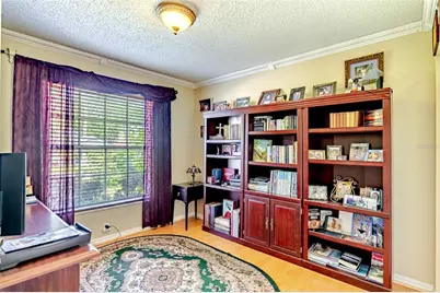 775 Wildflower Drive, Palm Harbor, FL 34683 - Photo 19