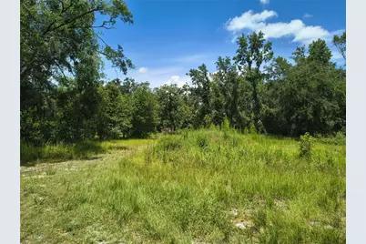 Willie White Lane, Plant City, FL 33567 - Photo 7