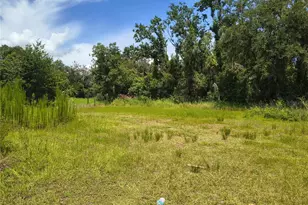 Willie White Ln, Plant City, FL 33567 - Photo 1