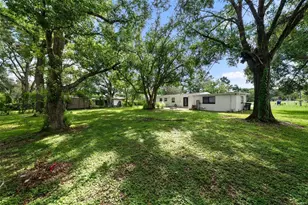 10306 Fore Dr, Tampa, FL 33612 - Photo 19