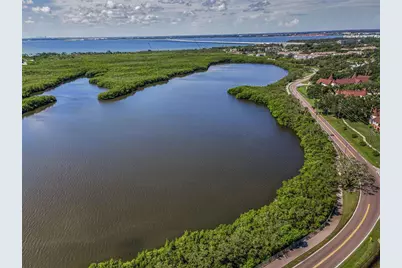 320 N Bayshore Boulevard #107, Clearwater, FL 33759 - Photo 3