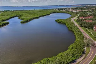 320 N Bayshore Blvd, Clearwater, FL 33759 - Photo 3