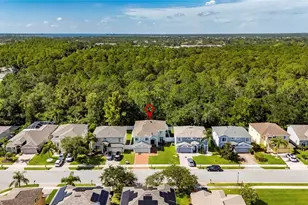 382 Rosalind Ln, Oldsmar, FL 34677 - Photo 65