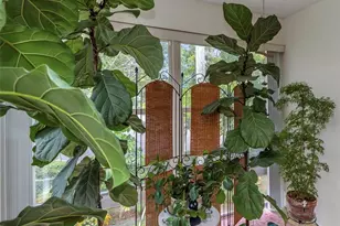 2001 Greenbriar Blvd, Clearwater, FL 33763 - Photo 27