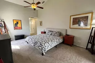 413 Manor Blvd, Palm Harbor, FL 34683 - Photo 13