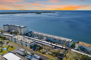 7 Dunoon Pl, Dunedin, FL 34698 - Photo 35