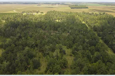 Ne Dixon Court, Lee, FL 32059 - Photo 7