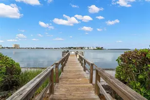 6219 Palma Del Mar Blvd S, Saint Petersburg, FL 33715 - Photo 37