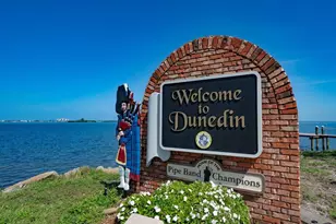 239 Florida Ave, Dunedin, FL 34698 - Photo 37