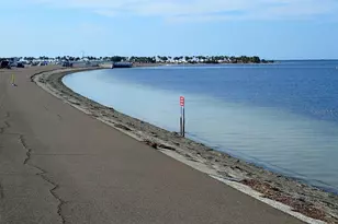 2571 Cyprus Dr, Palm Harbor, FL 34684 - Photo 57