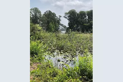 Carver, New Port Richey, FL 34654 - Photo 3