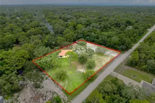 14056 Tayco Dr, Weeki Wachee, FL 34614 - Photo 7