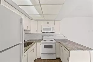 1163 Orange Tree Cir W, Palm Harbor, FL 34684 - Photo 25