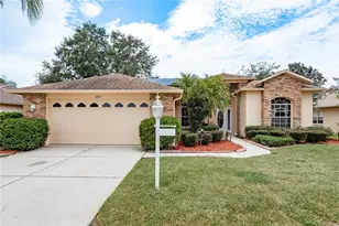 1251 Rambling Vine Ct, Trinity, FL 34655 - Photo 3