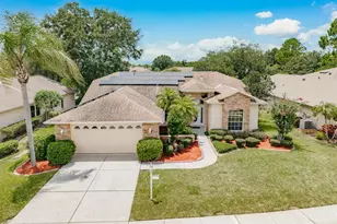 1251 Rambling Vine Ct, Trinity, FL 34655 - Photo 43