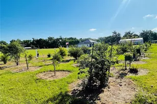 3713 Old Mulberry Rd, Plant City, FL 33567 - Photo 31