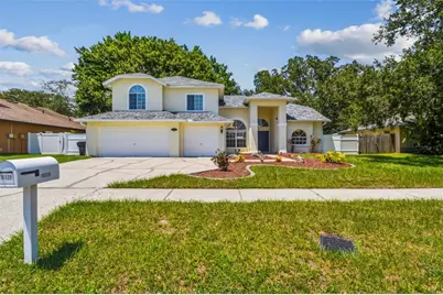 10320 Ashley Oaks Drive, Riverview, FL 33578 - Photo 1