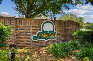 10320 Ashley Oaks Dr, Riverview, FL 33578 - Photo 55