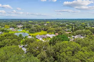 10320 Ashley Oaks Dr, Riverview, FL 33578 - Photo 63