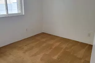 315 S Tessier Dr, Saint Pete Beach, FL 33706 - Photo 21