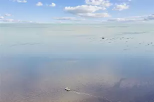 4508 Harborpointe Dr, Port Richey, FL 34668 - Photo 79