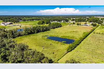 4416 Pippin Road, Plant City, FL 33567 - Photo 71