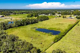 4416 Pippin Rd, Plant City, FL 33567 - Photo 71