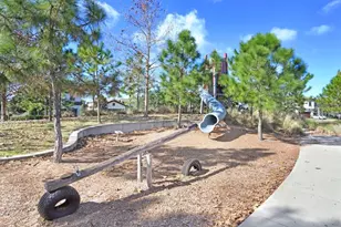 4025 Bonfire Dr, Odessa, FL 33556 - Photo 41