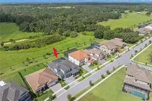 14215 Swiss Bridge Dr, Riverview, FL 33579 - Photo 1