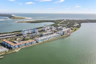 7 Dunoon Pl, Dunedin, FL 34698 - Photo 5