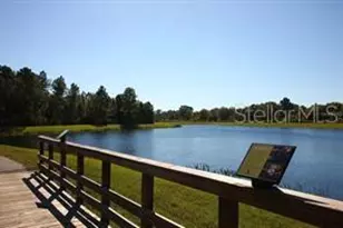 10043 Campanula Ct, Land O Lakes, FL 34637 - Photo 13
