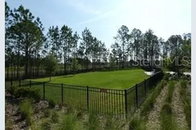 10043 Campanula Court, Land O Lakes, FL 34637 - Photo 17