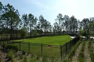 10043 Campanula Ct, Land O Lakes, FL 34637 - Photo 17