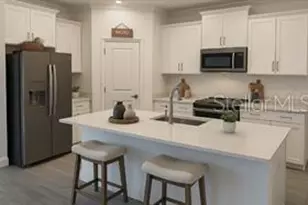 10043 Campanula Ct, Land O Lakes, FL 34637 - Photo 3