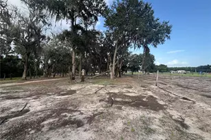 7117 S County Line Rd, Plant City, FL 33567 - Photo 13