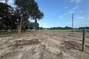 7117 S County Line Rd, Plant City, FL 33567 - Photo 11