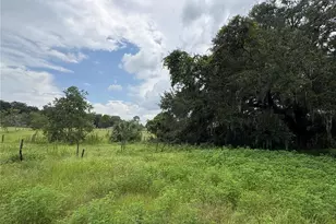 6177 Cr 625, Bushnell, FL 33513 - Photo 77