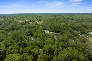 17131 Dalberg Dr, Spring Hill, FL 34610 - Photo 87