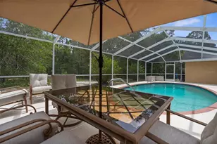 17131 Dalberg Dr, Spring Hill, FL 34610 - Photo 33