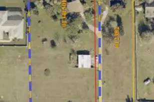 503 W Lutz Lake Fern Rd, Lutz, FL 33548 - Photo 3