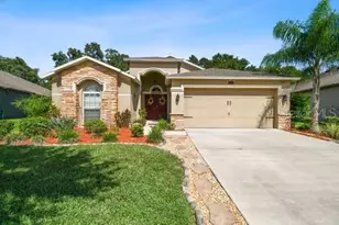 3608 Grecko Dr, Wesley Chapel, FL 33543 - Photo 1