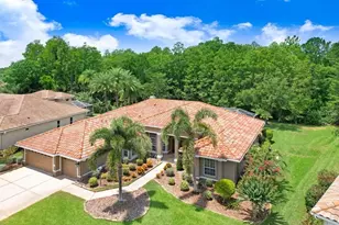 12029 Brewster Dr, Tampa, FL 33626 - Photo 3