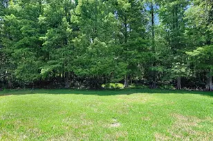 12029 Brewster Dr, Tampa, FL 33626 - Photo 45