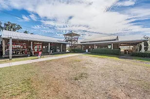 2378 Whittler Br, Odessa, FL 33556 - Photo 65