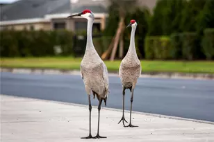 7006 162nd Pl E, Parrish, FL 34219 - Photo 7