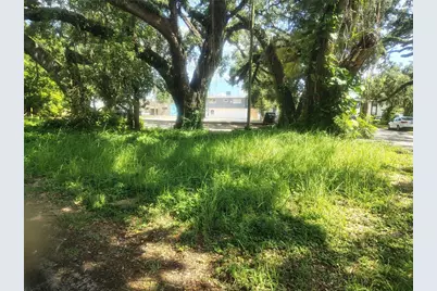 113 E Robertson Street, Brandon, FL 33511 - Photo 11