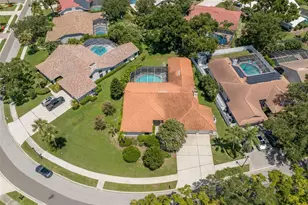 167 Woodcreek Dr W, Safety Harbor, FL 34695 - Photo 41