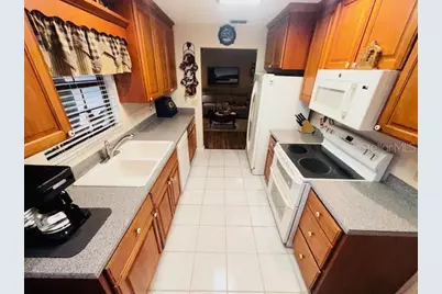 38648 Ferm Circle, Zephyrhills, FL 33540 - Photo 3